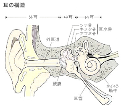 耳 舐め 中耳炎