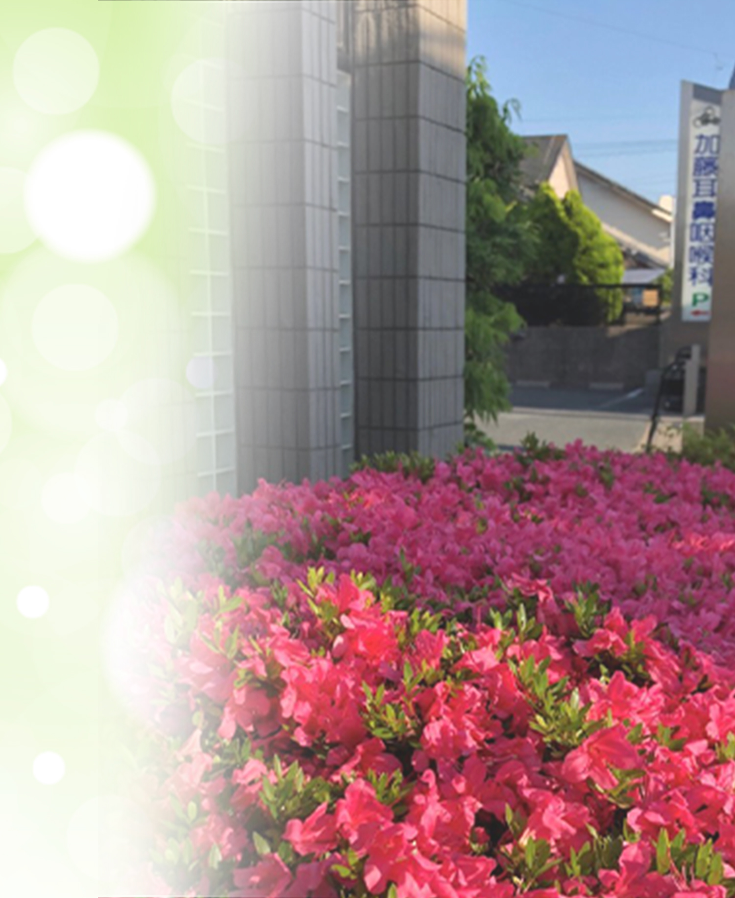 耳鼻科 常滑市 加藤耳鼻咽喉科 – 加藤耳鼻咽喉科は常滑市にある耳鼻科